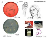 tests for identification